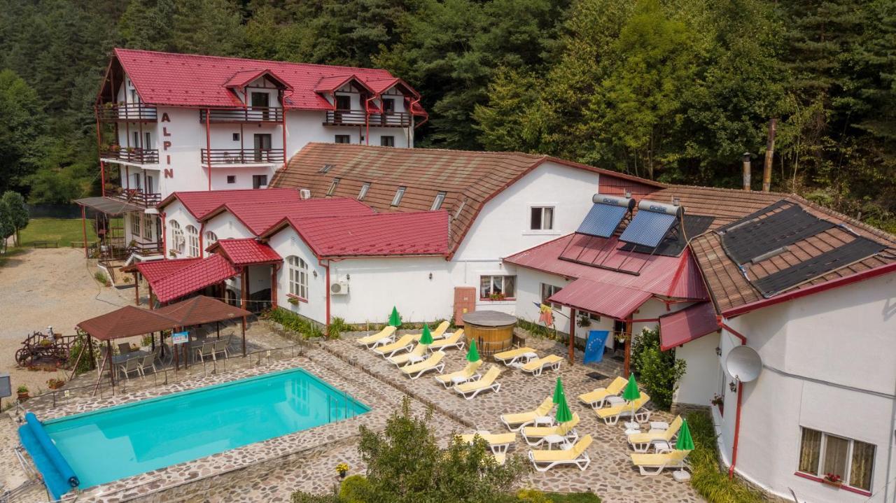 Pensiunea Alpin Păltiniş Exterior foto